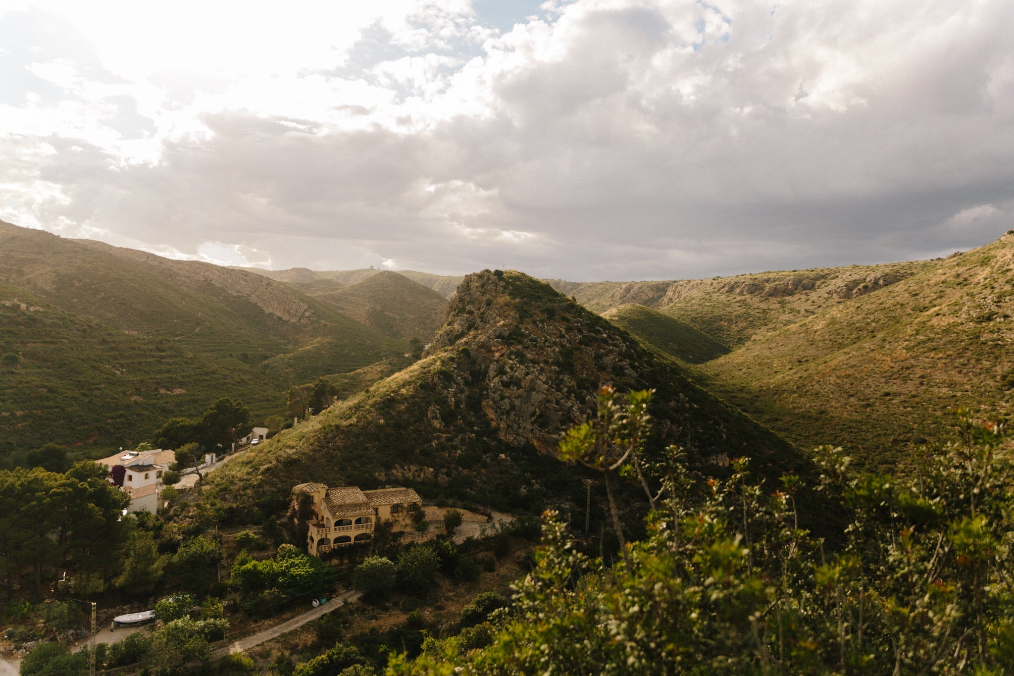 Tonos de la Montaña💚