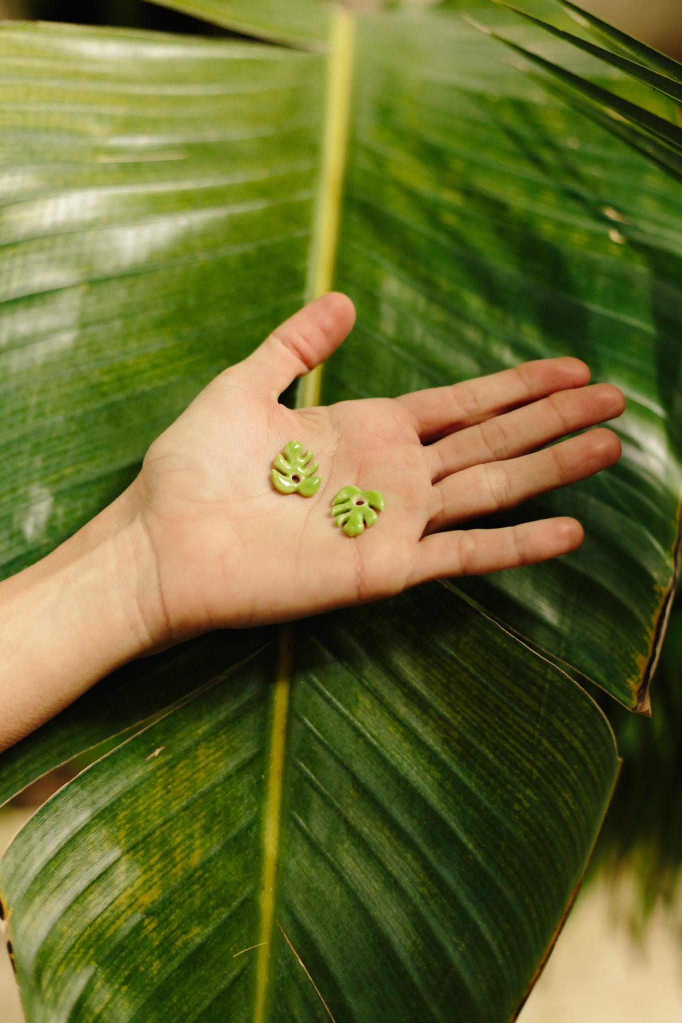 Par Piezas Mini Aloha Lima | S