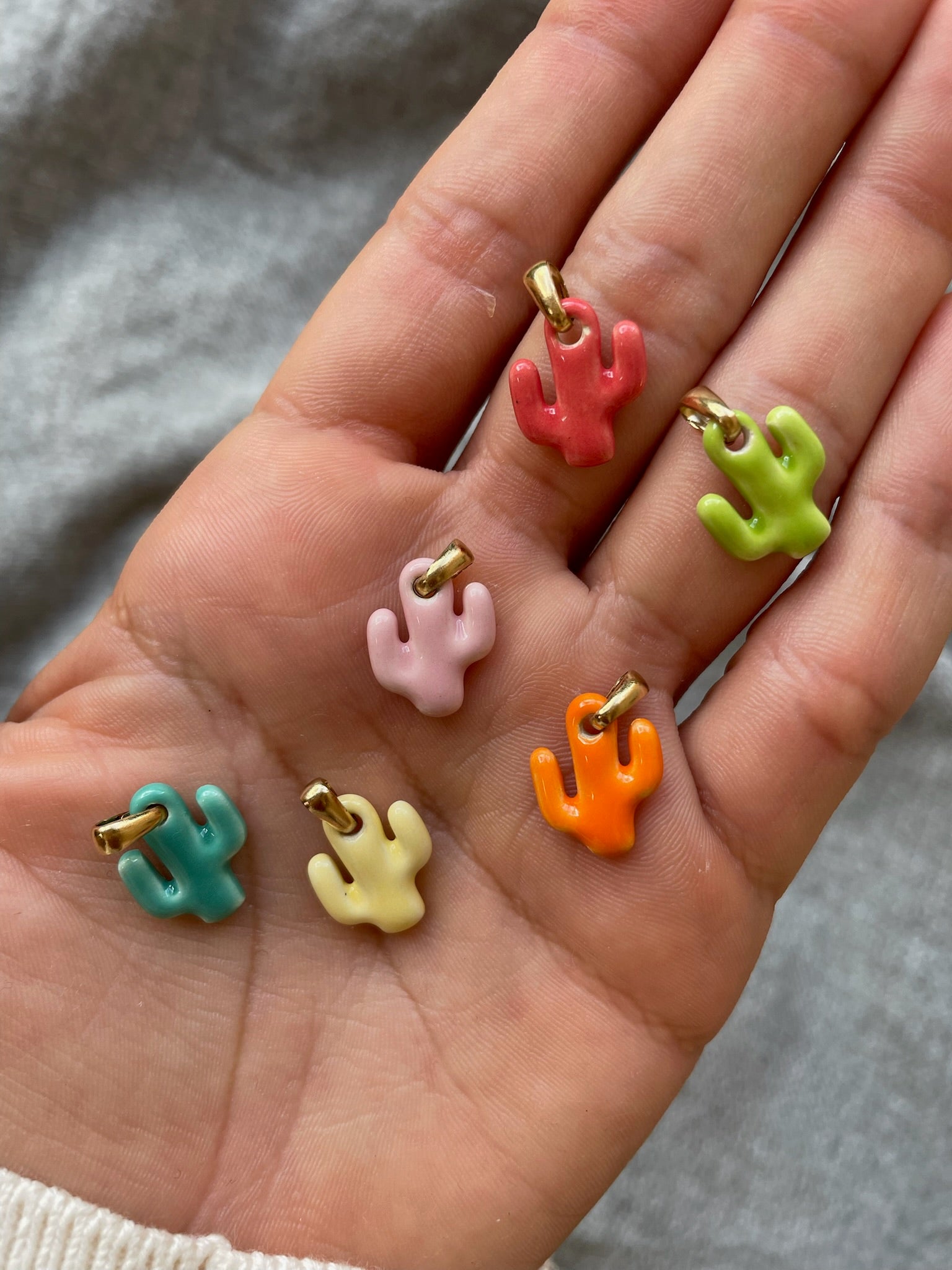 Charms Cactus | 6 colores