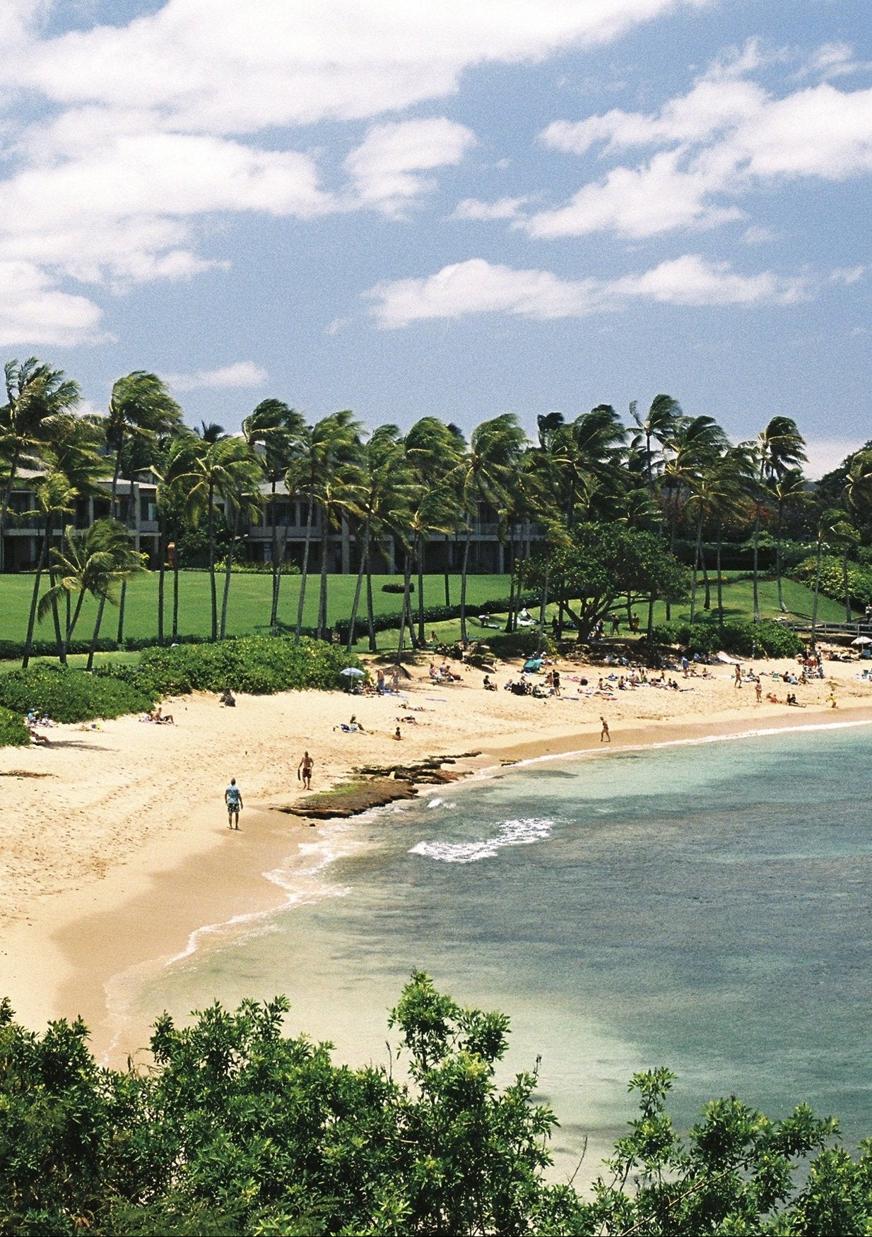 New | By pieces Mini Kapalua | XS