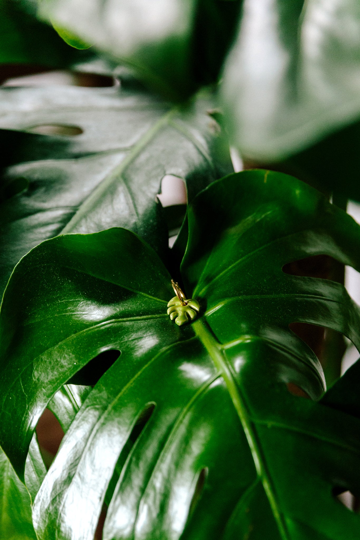 Lime Mini Aloha Earrings | S
