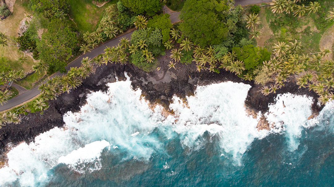 New | By Pieces Kehena Pack | XXS