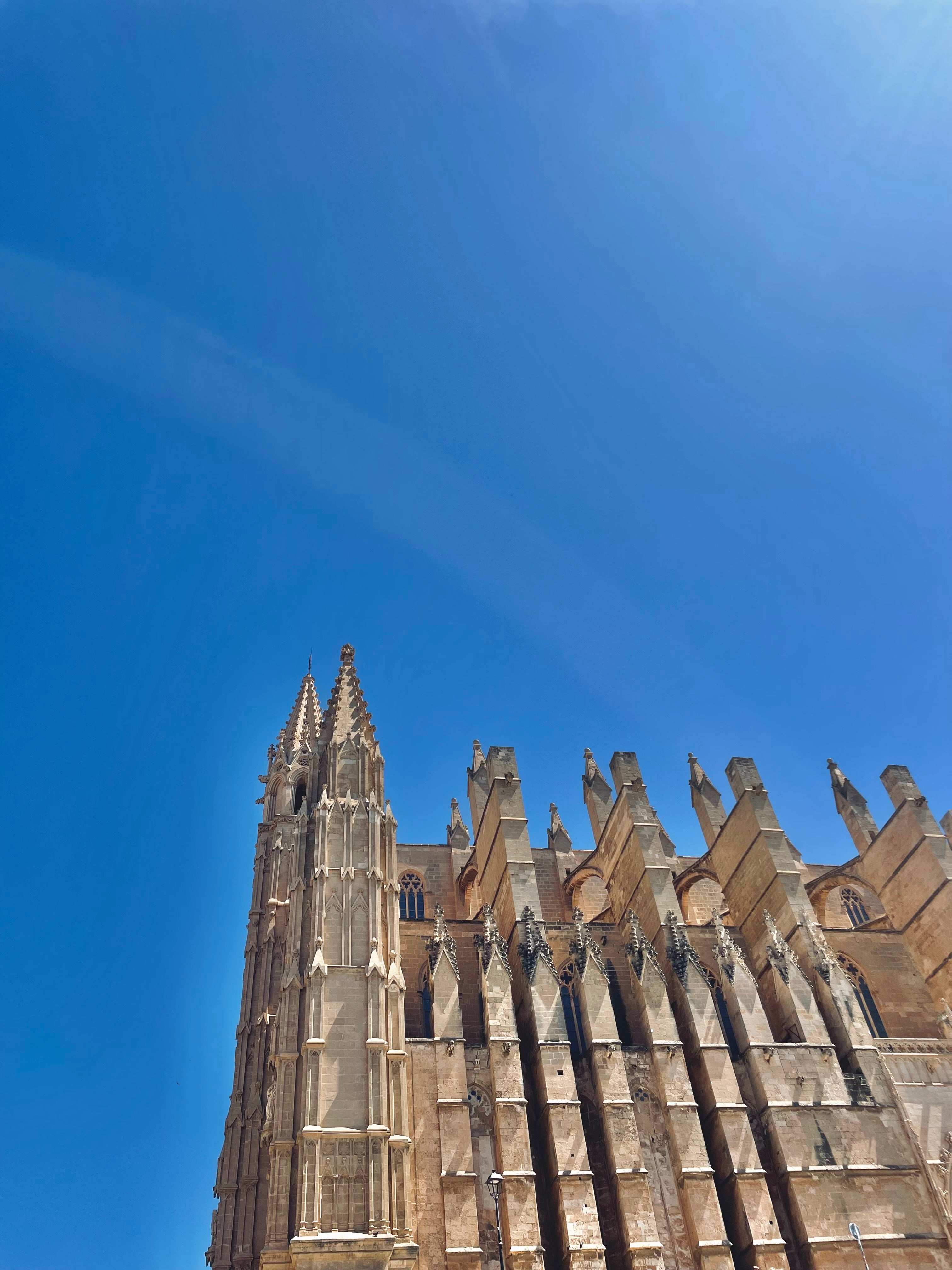Palma - By Pieces | M