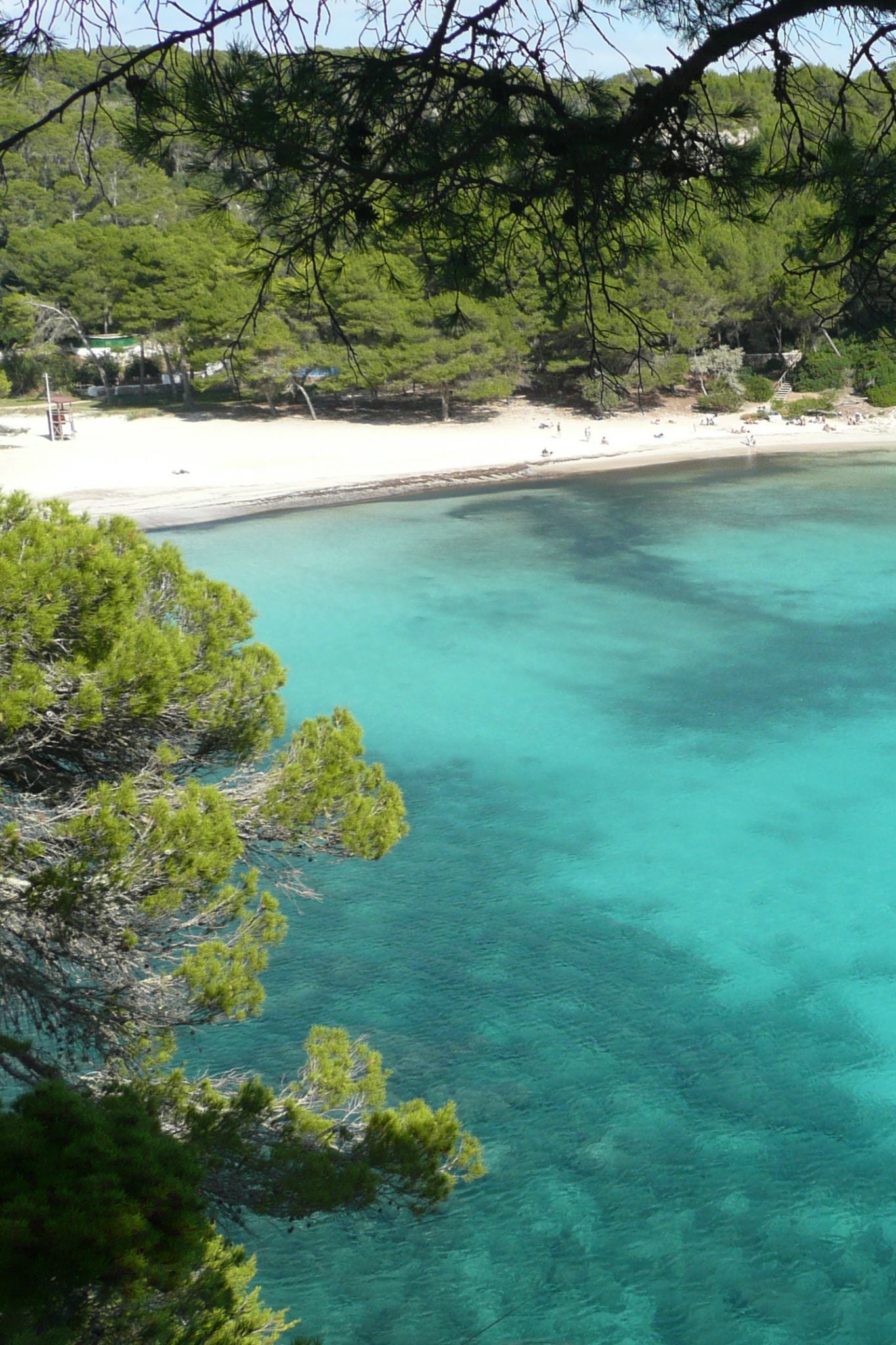 Mini Papagayo - By Pieces | XS