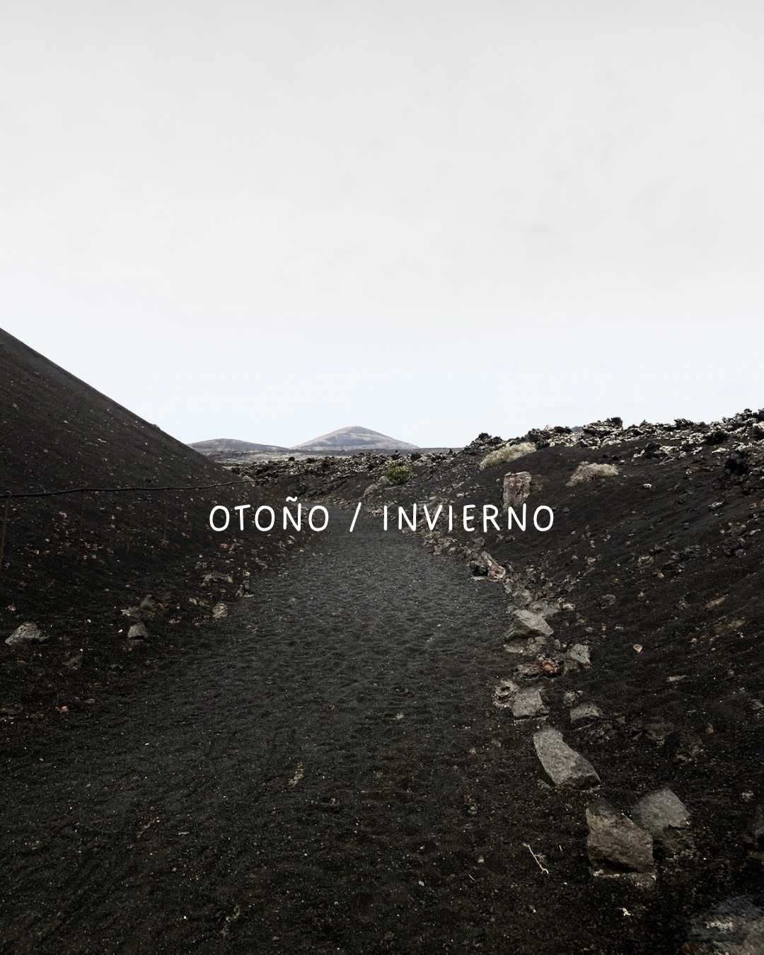NUEVA COLECCIÓN LANZAROTE