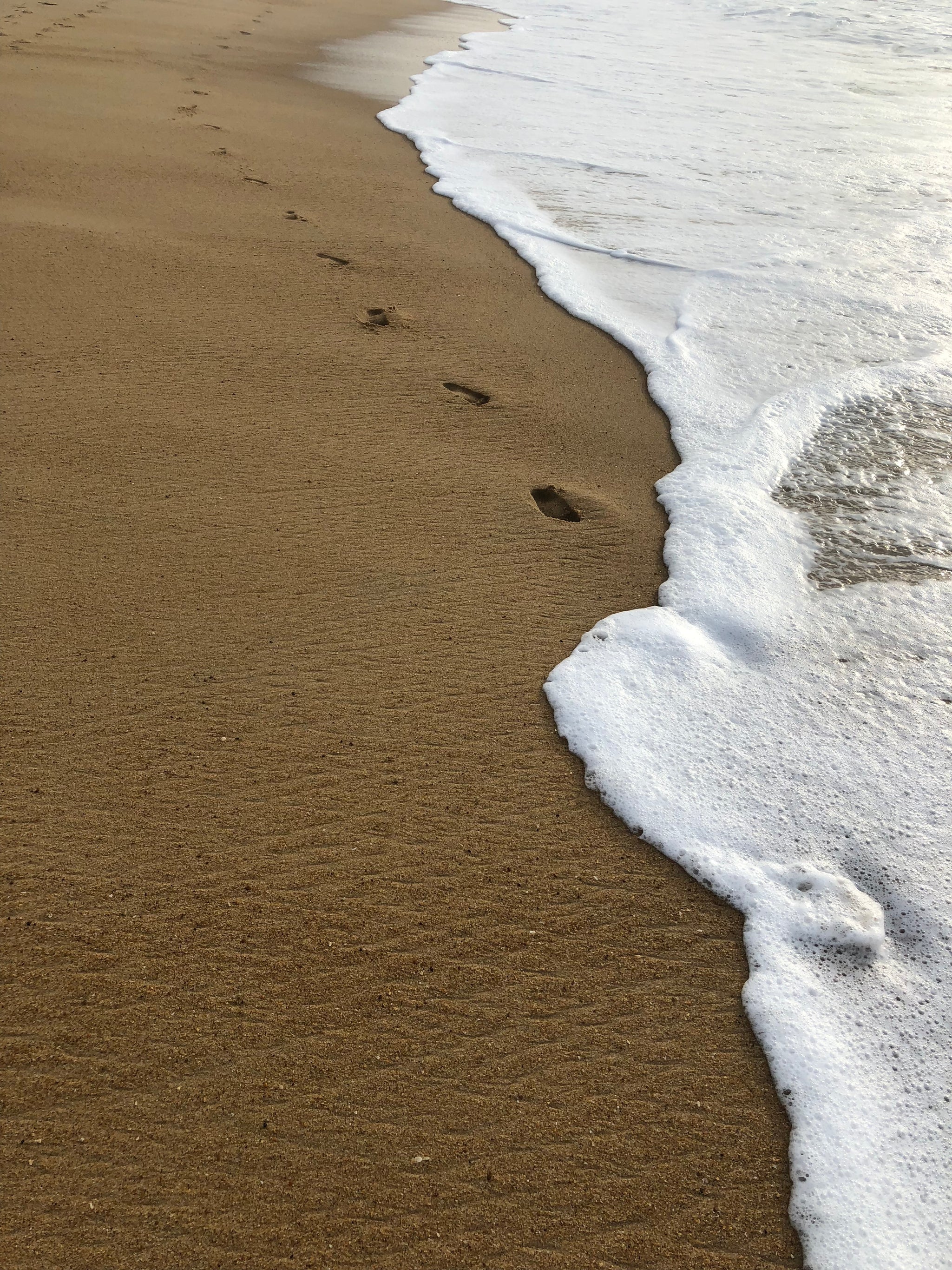 Tonos Tierra 🤎🤍🖤