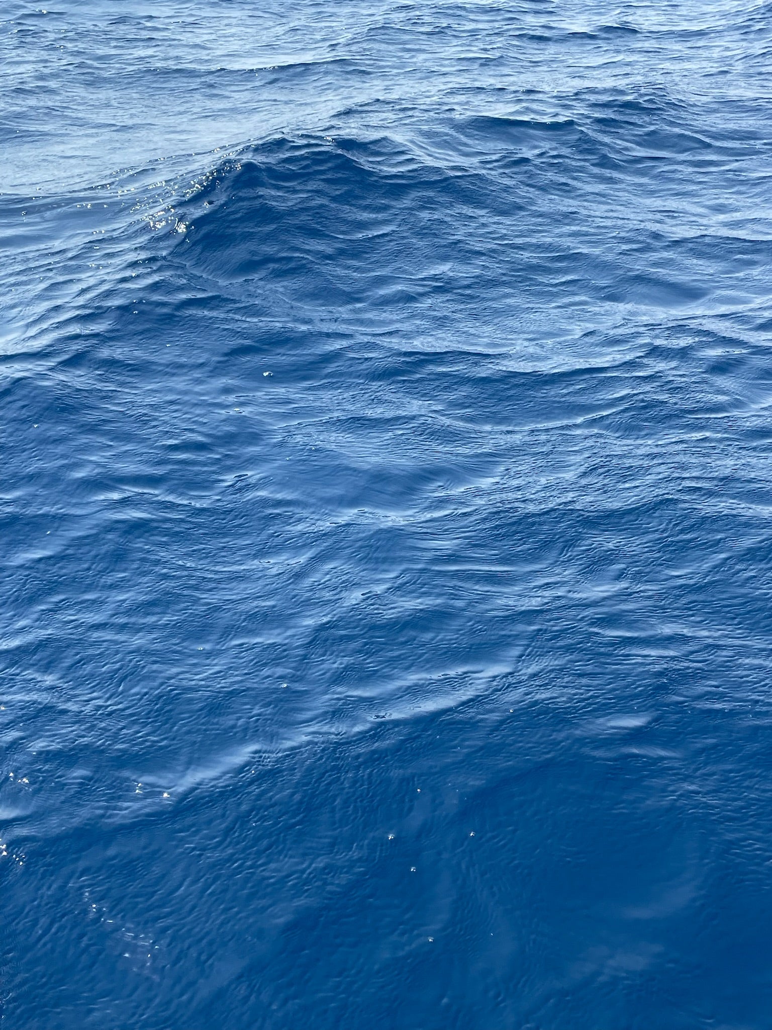 Tonos del mar 🤍🩵💙