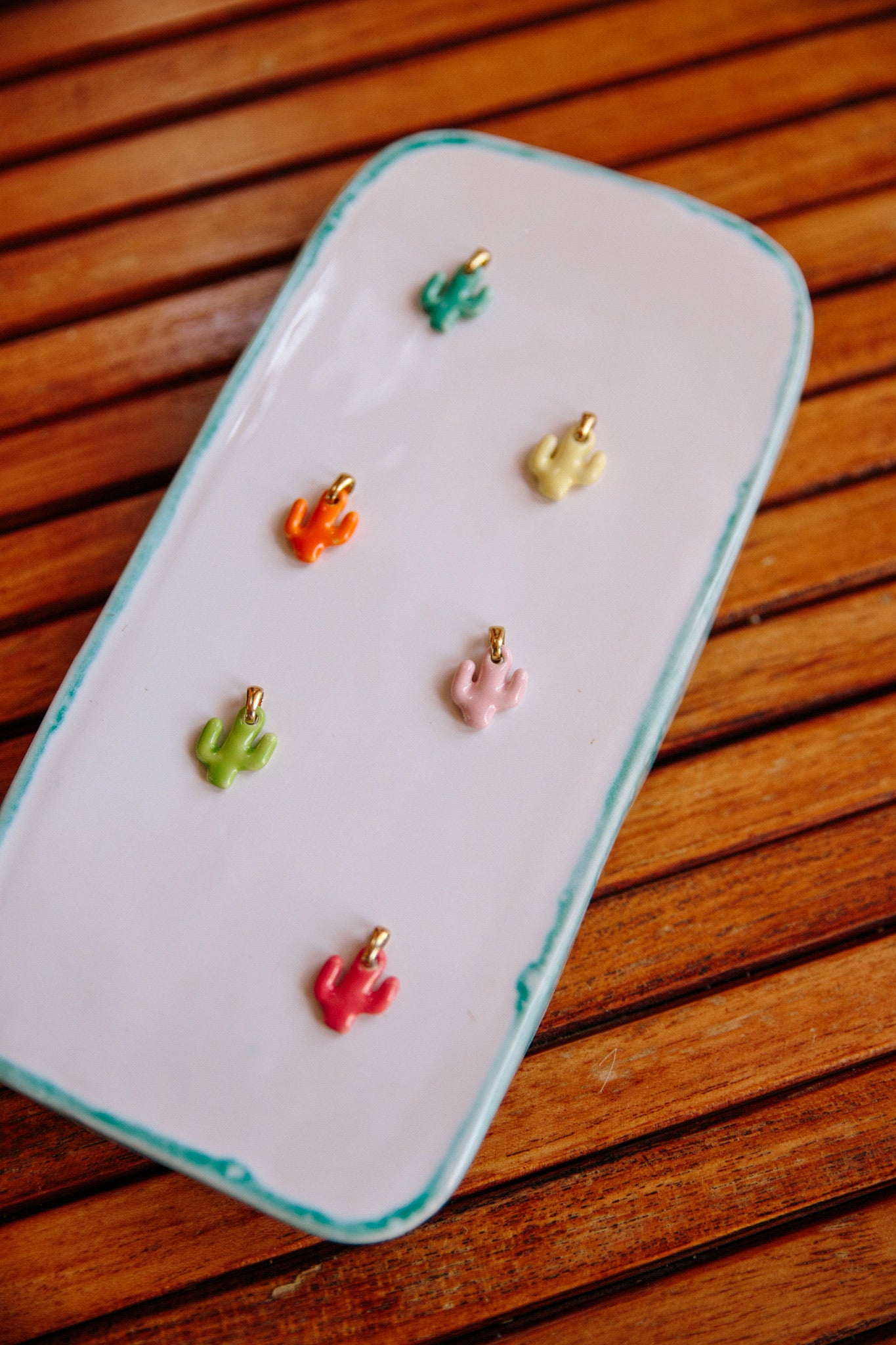 Nuevo | Charms Cactus | 6 colores