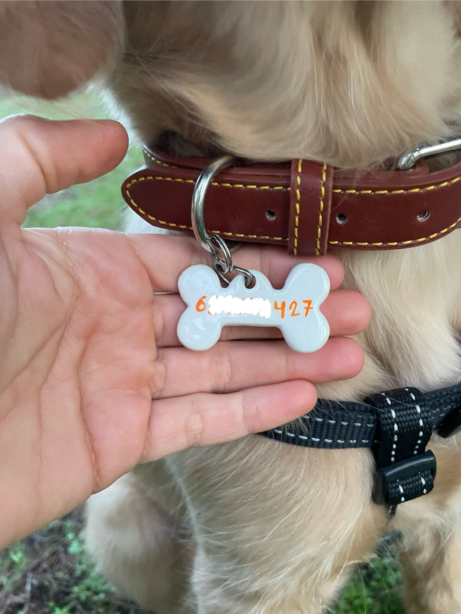 In total | Dog Tag - Pet