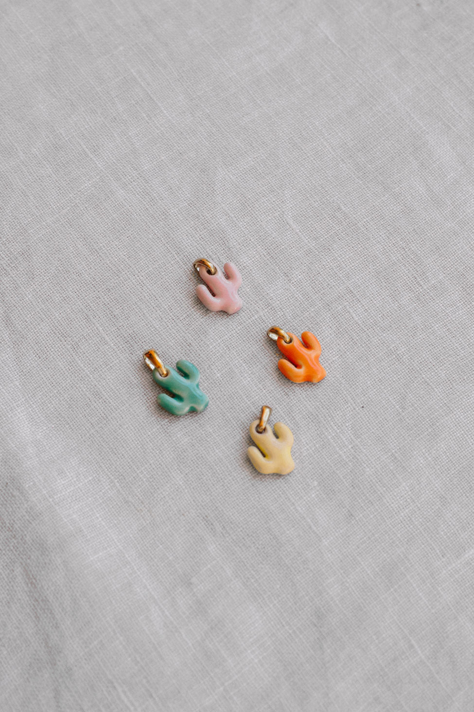 Charms Cactus | 6 colores