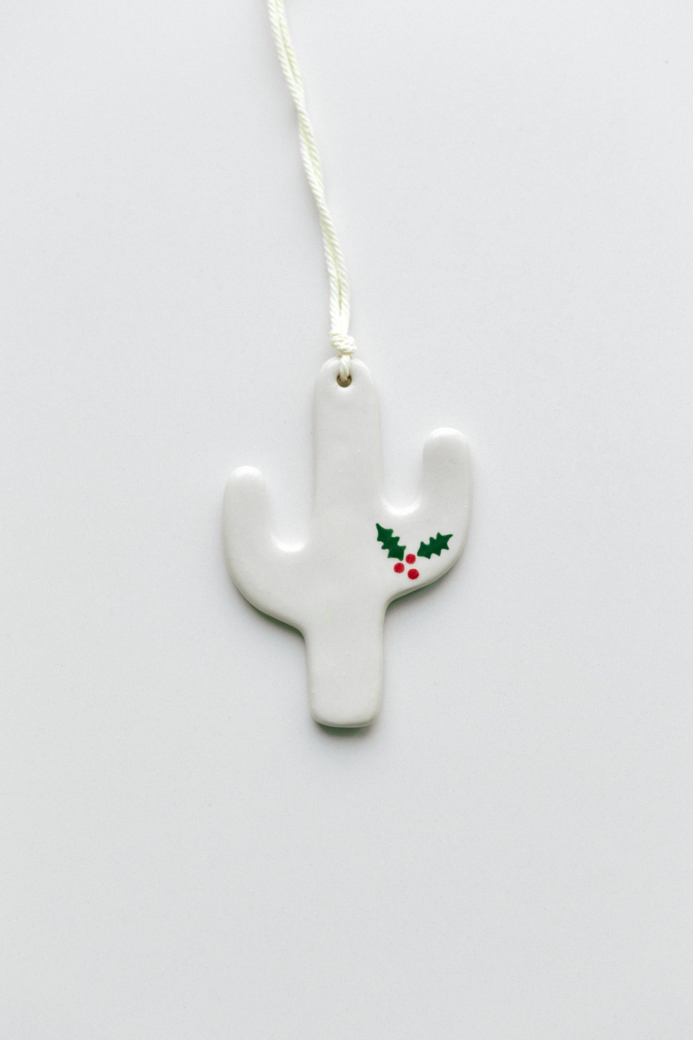 New | Christmas Cactus